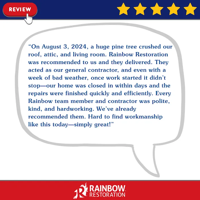 Rainbow Restoration of Columbia Picture 9