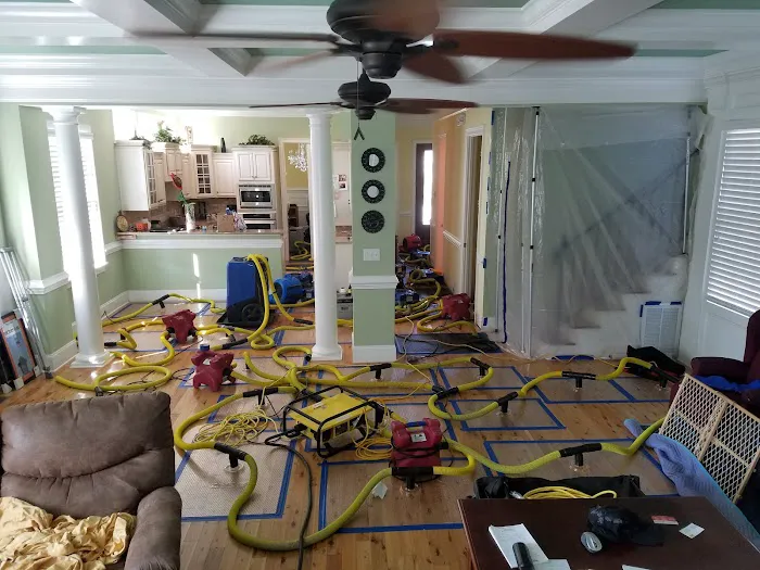 Rainbow Restoration of Columbia Picture 10