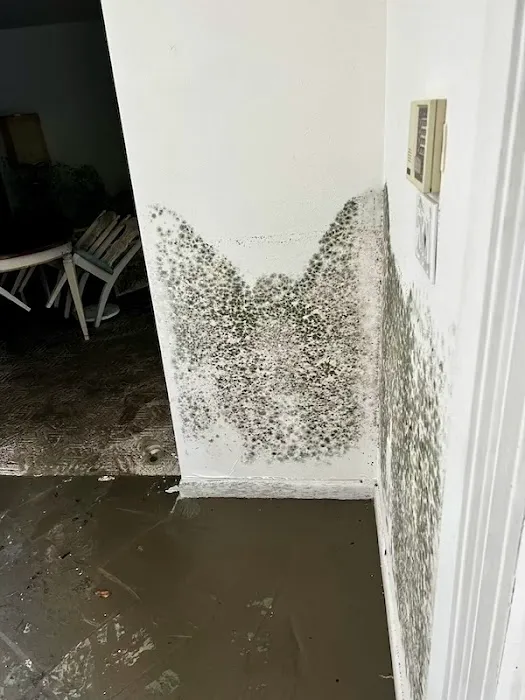 Mold Masters Picture 9