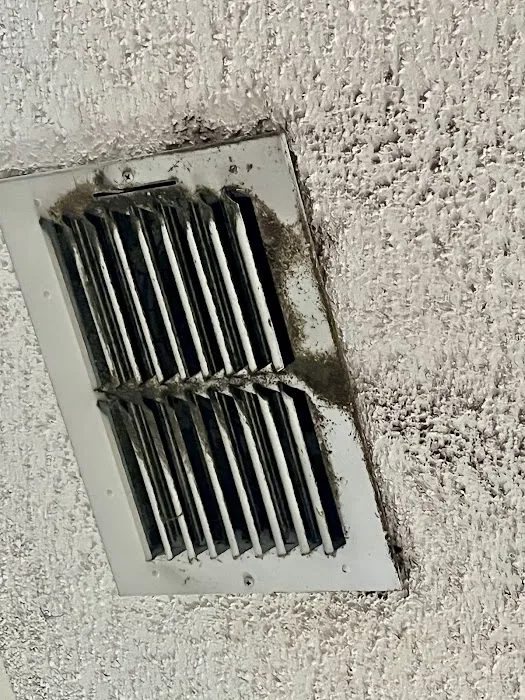 Mold Masters Picture 3