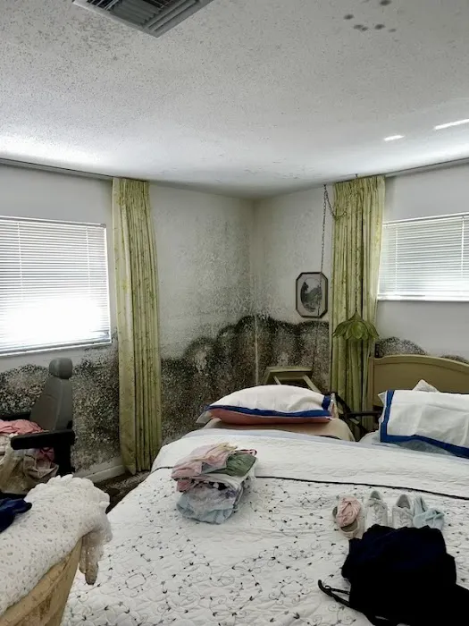 Mold Masters Picture 7