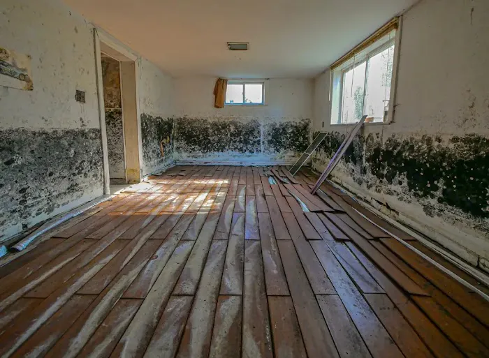 Cudahy Mold Removal and Restoration llc Picture 2