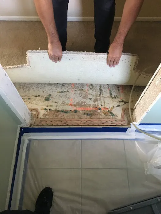 Water Damage 858 Picture 3