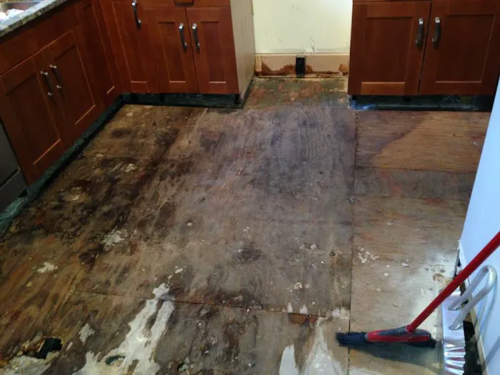 Water Damage 858 Picture 8