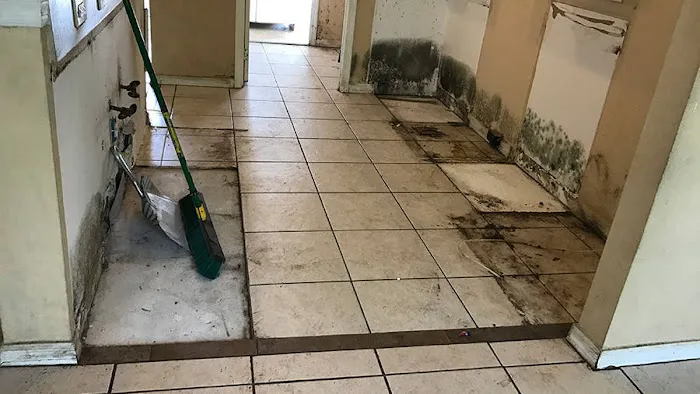 Water Damage 858 Picture 7