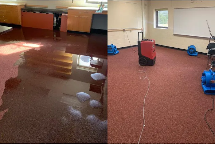 Water Damage 858 Picture 10