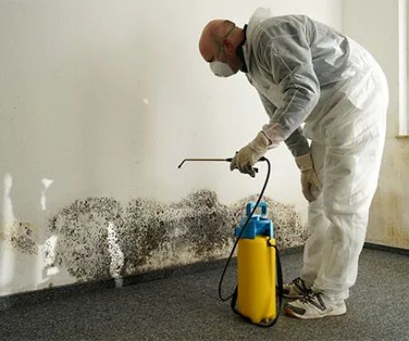 Service Solutions Restoration