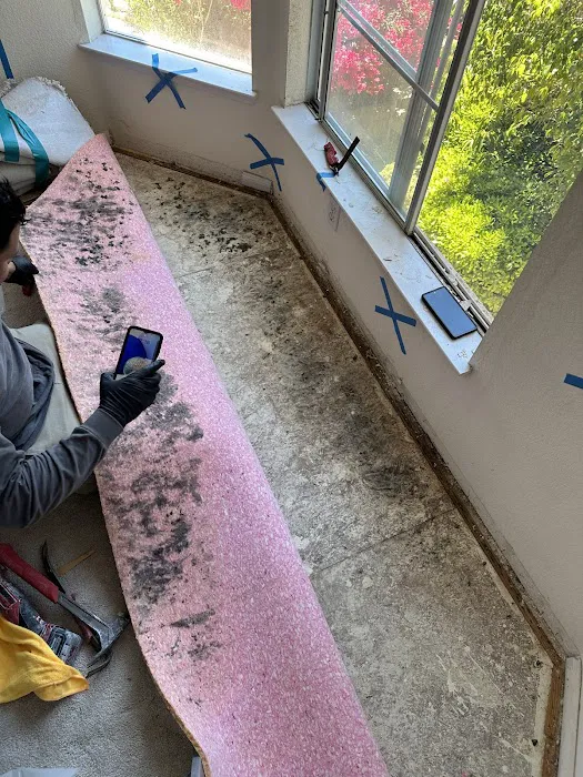 DRC Restoration Picture 6