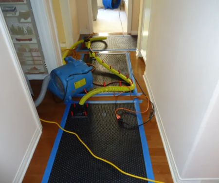 Rainbow Restoration of San Diego County