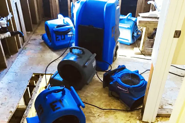 Express Dry Picture 3