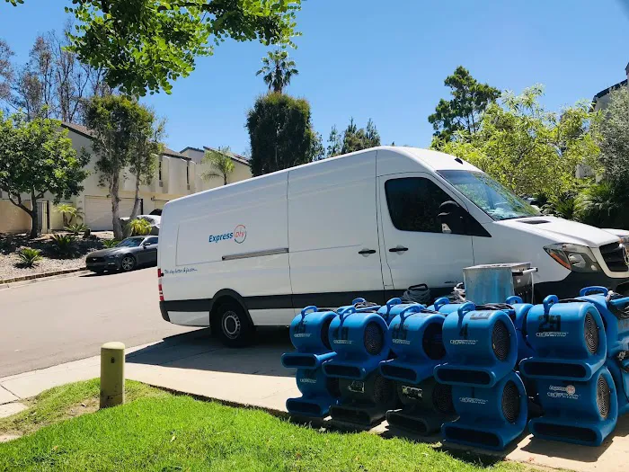 Express Dry Picture 7