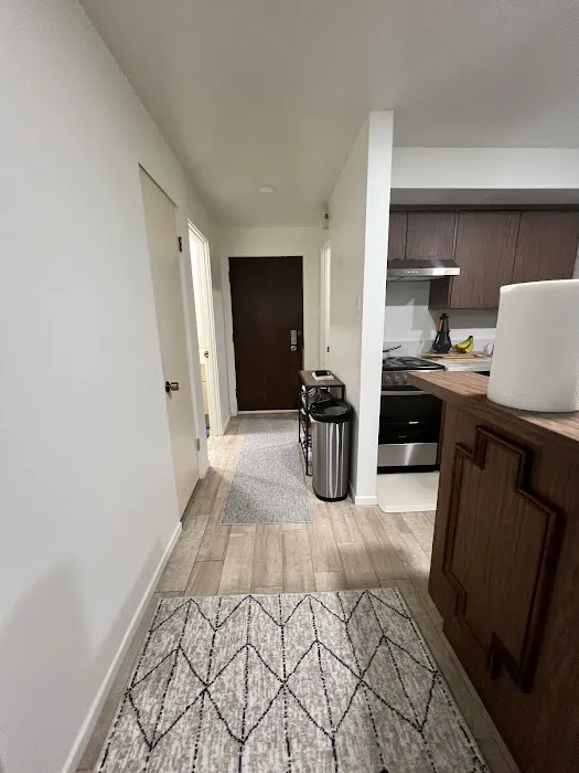 Express Dry Picture 2