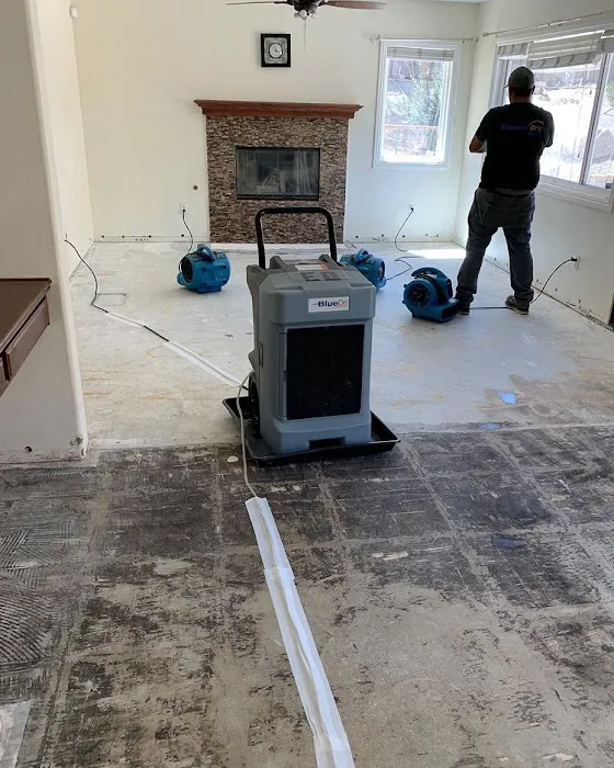 Express Dry Picture 9