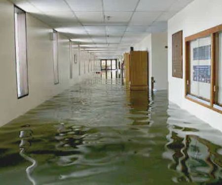 Fast Affordable Restoration