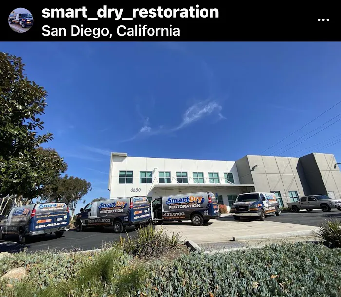 Smart Dry Restoration Picture 10