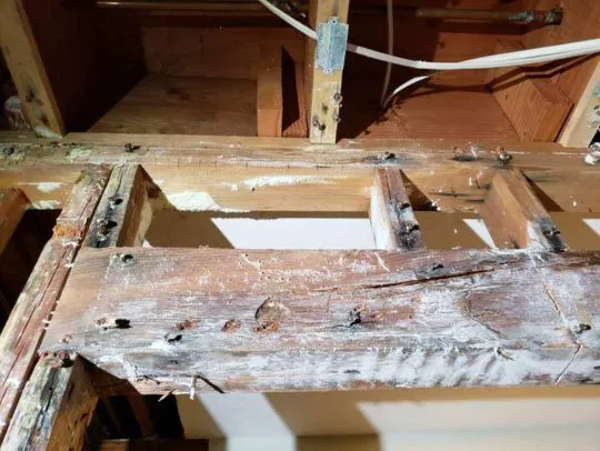 Smart Dry Restoration Picture 7