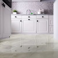 Vista Flood Restoration, Inc. ico