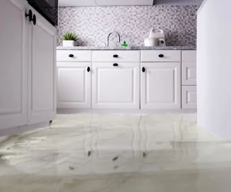 Vista Flood Restoration, Inc.