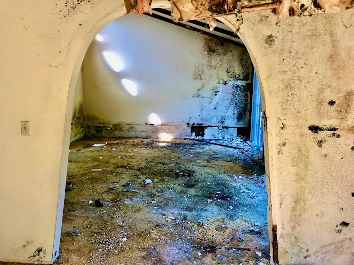 Clarketon Restoration Picture 6