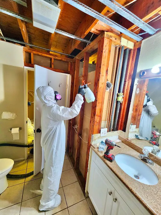 Clarketon Restoration Picture 9