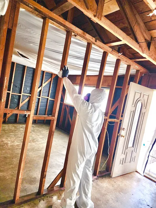 Clarketon Restoration Picture 8