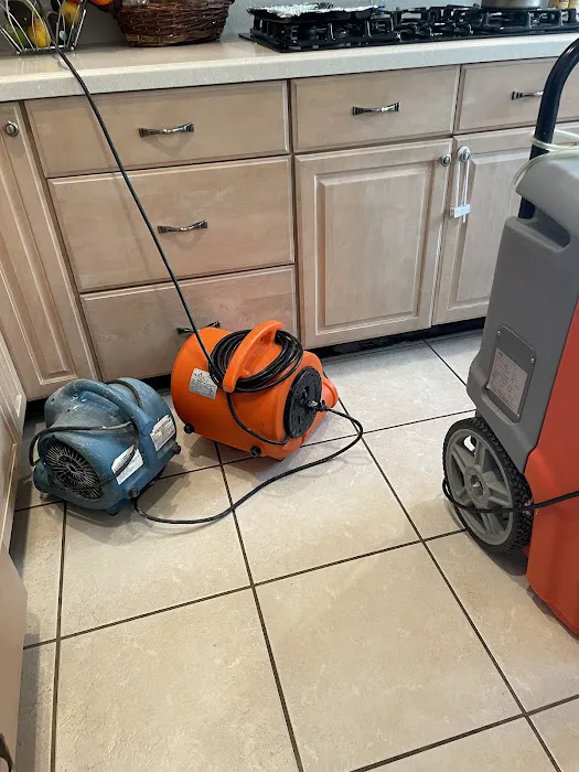 Clarketon Restoration Picture 4