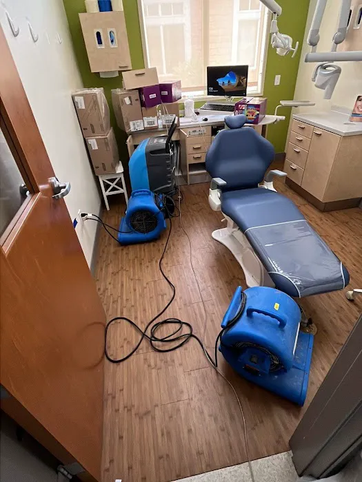 Dry Out Medics | Water Damage Repair & Cleanup Picture 2