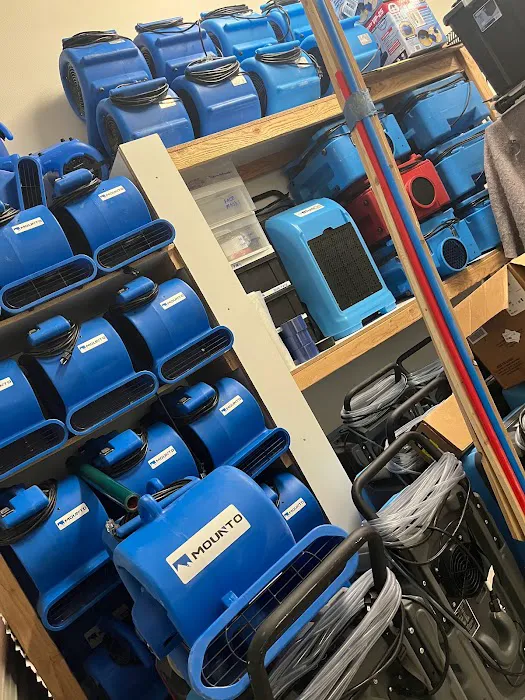 Dry Out Medics | Water Damage Repair & Cleanup Picture 8