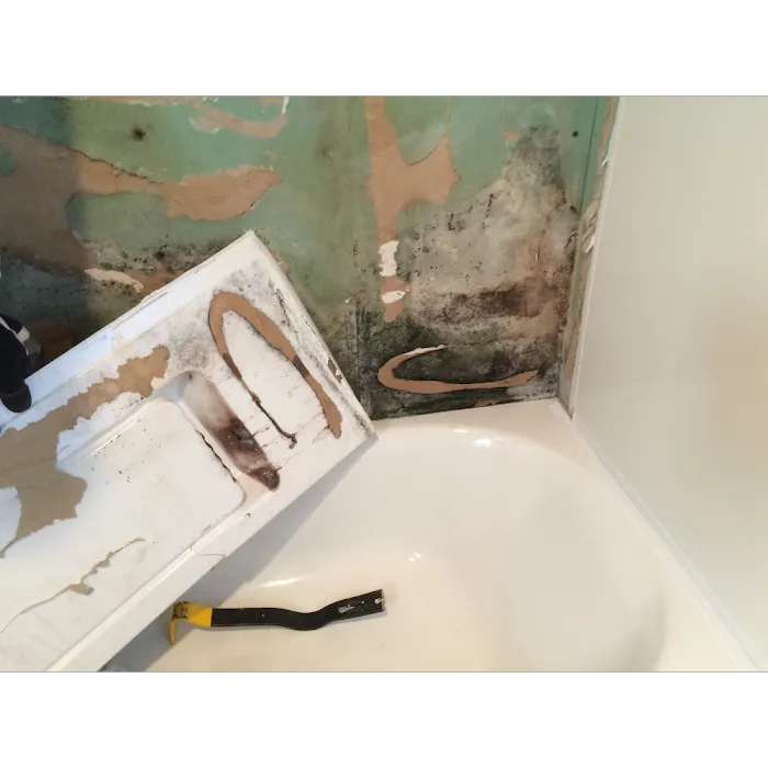 Eco Flood & Mold Remediation Picture 3
