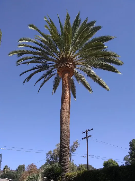 Eco Flood & Mold Remediation Picture 9