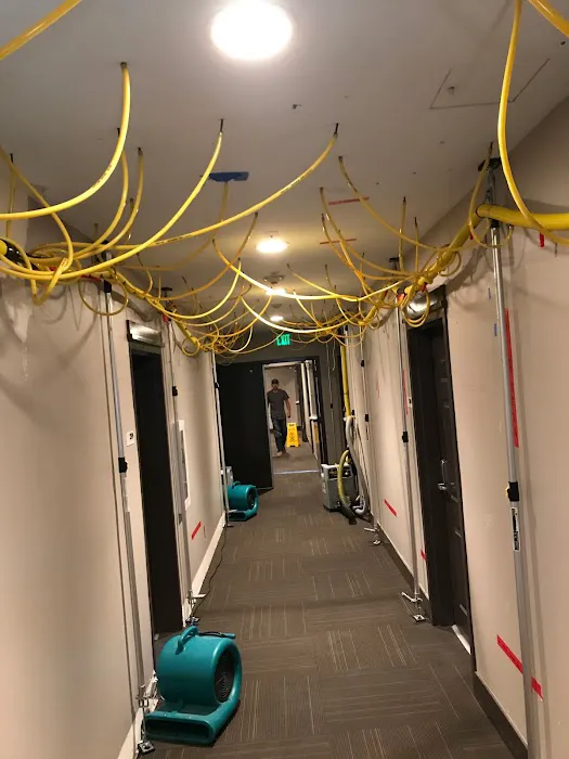 Eco Flood & Mold Remediation Picture 2