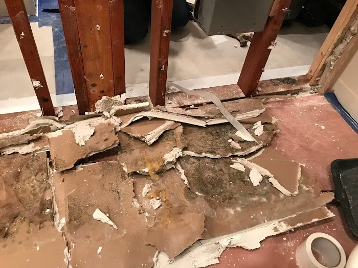 Eco Flood & Mold Remediation Picture 8