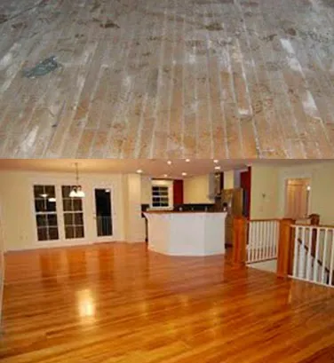 Eco Flood & Mold Remediation Picture 5