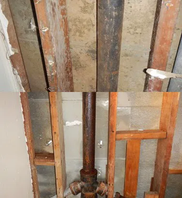 Eco Flood & Mold Remediation Picture 4