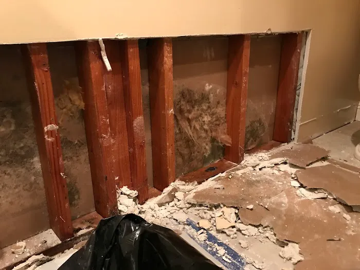 Eco Flood & Mold Remediation Picture 6