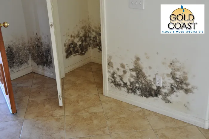 Gold Coast Flood Restorations Picture 9