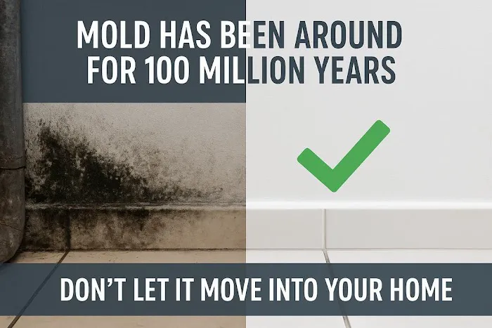 Gold Coast Flood Restorations Picture 2