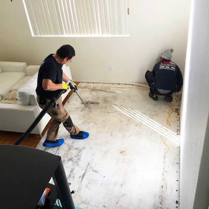 PuroClean Emergency Services Picture 9