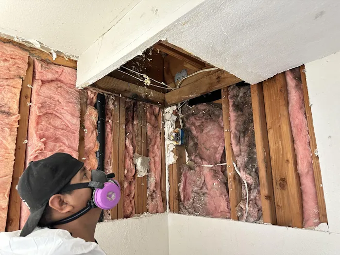 Palomar Services Picture 6