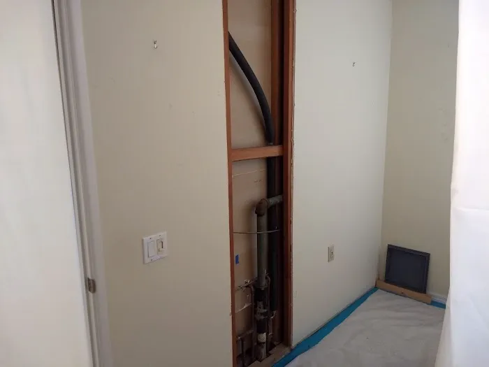 High Standards Abatement Picture 6