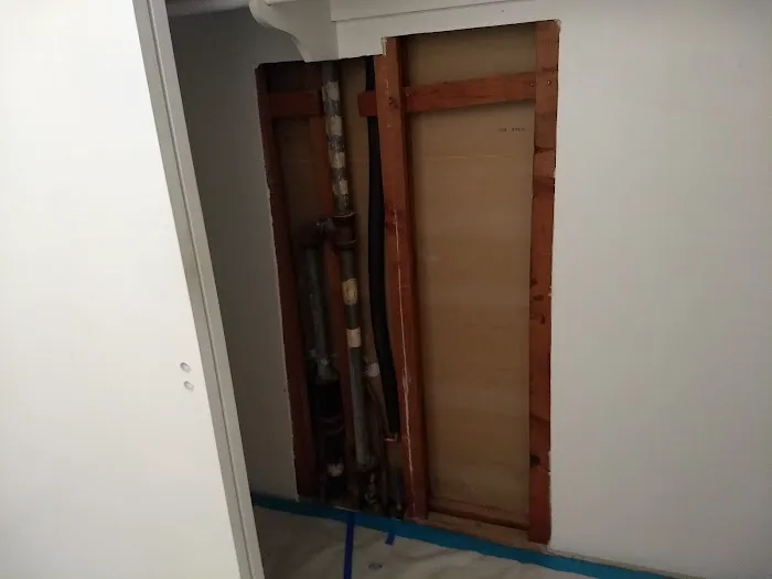 High Standards Abatement Picture 3