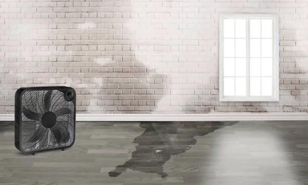 Superior Escondido Water Damage Restoration Expert Picture 2