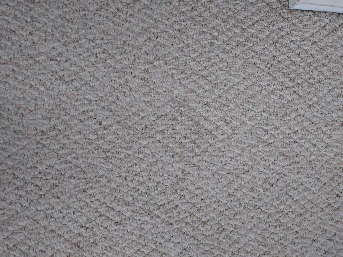 Stanley Steemer Picture 9