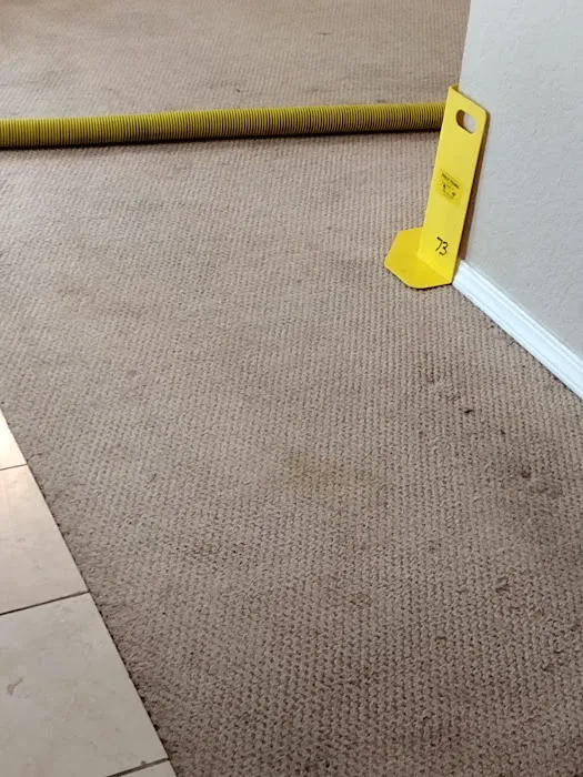 Stanley Steemer Picture 10