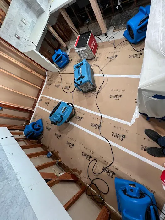 Tempo Restoration Picture 7