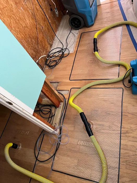 Tempo Restoration Picture 2