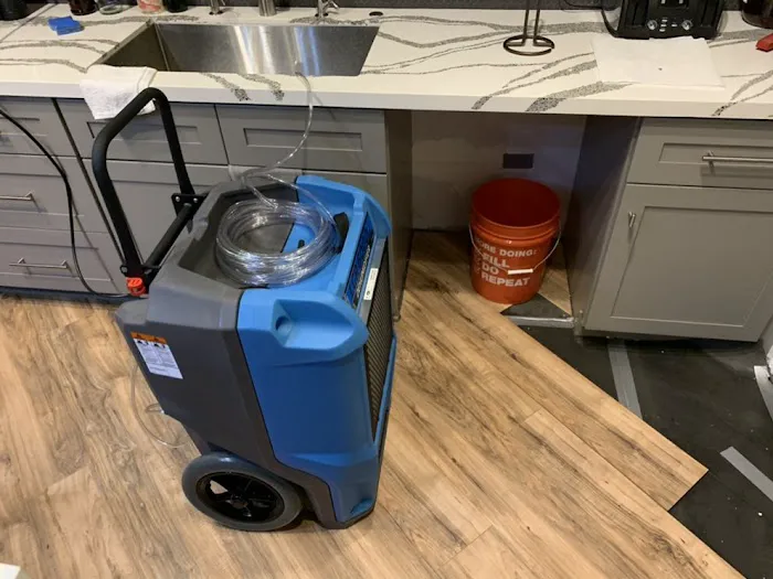 Tempo Restoration Picture 1