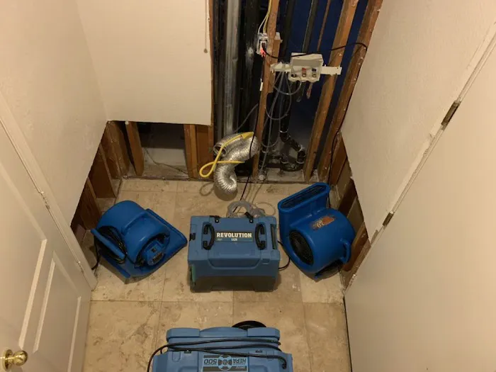 Tempo Restoration Picture 8