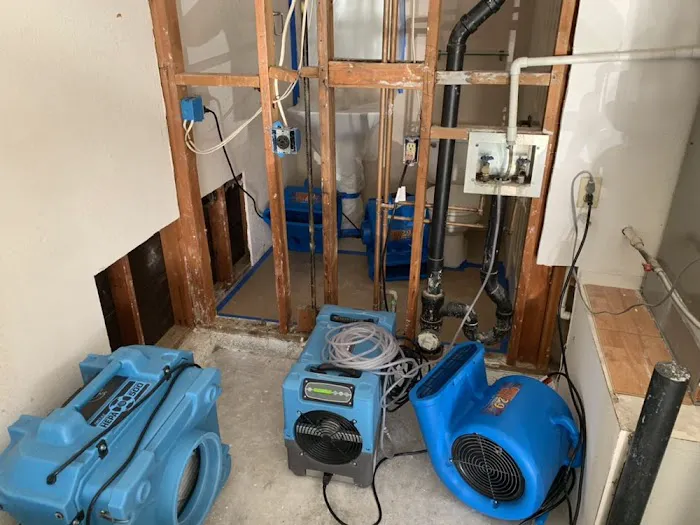 Tempo Restoration Picture 4