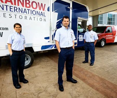 Rainbow International of Mira Mesa